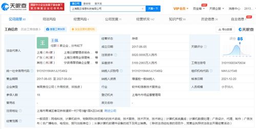 電子產(chǎn)品的技術(shù)開發(fā)與銷售 創(chuàng)新驅(qū)動(dòng)與市場(chǎng)策略