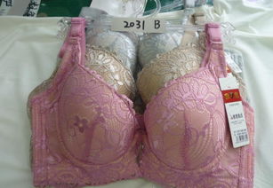 批發(fā)優(yōu)質(zhì)品牌文胸，舒適柔軟，廠家直供，價格實(shí)惠，圖片實(shí)拍